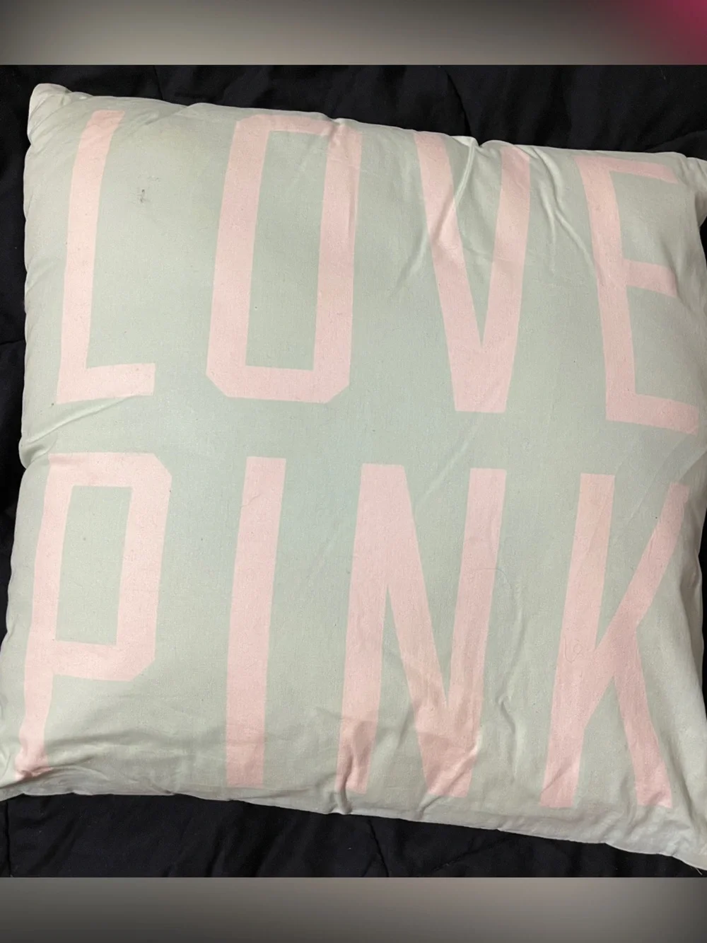 Pink Victoria’s Secret Pastel Mint and Light Pink Decorative Pillow Cover